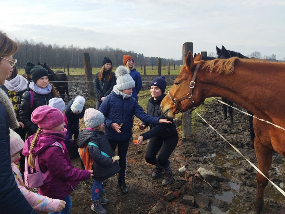 Dzień z koniem